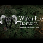 Witch Flame Botanica